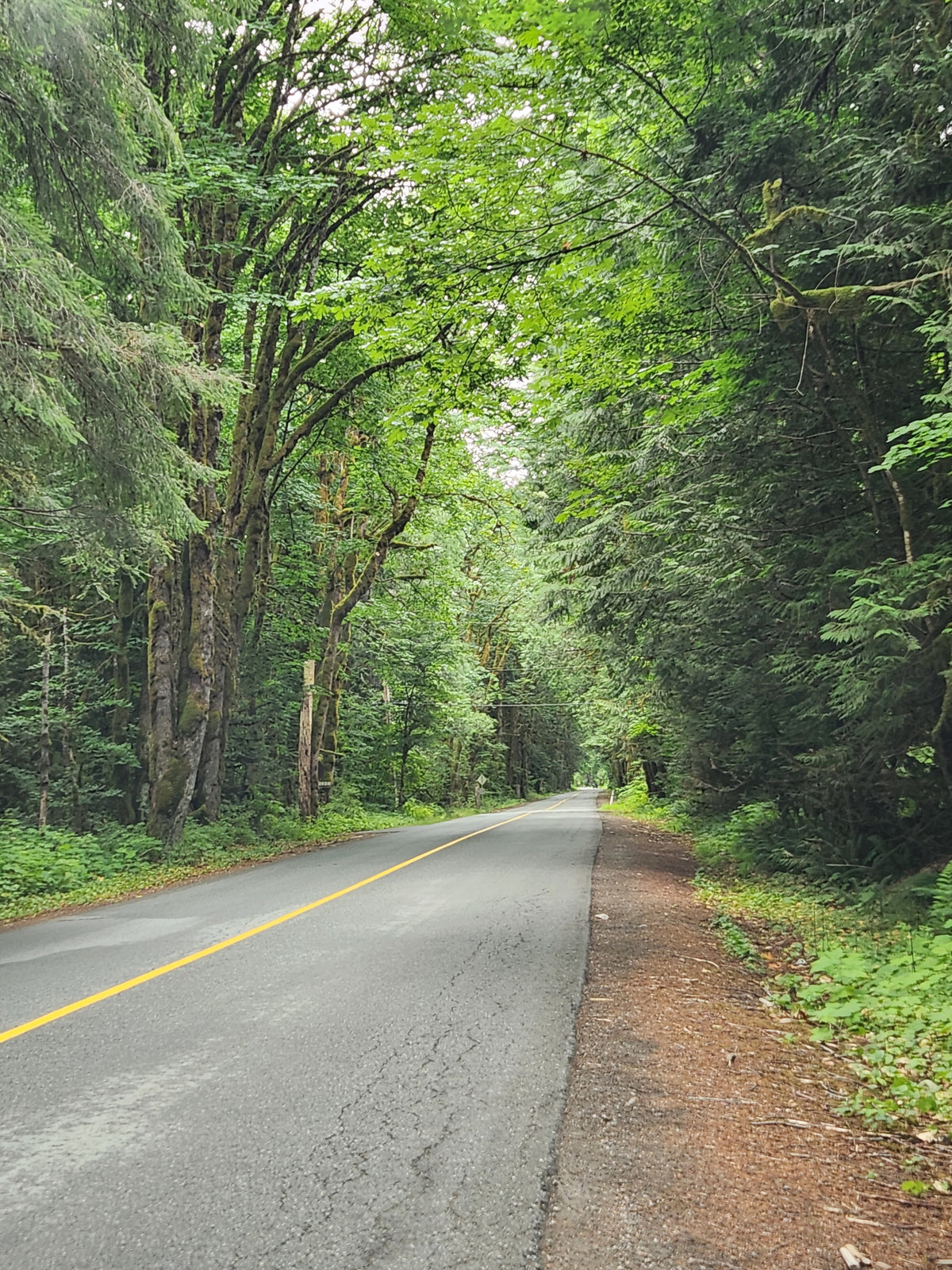 Forests