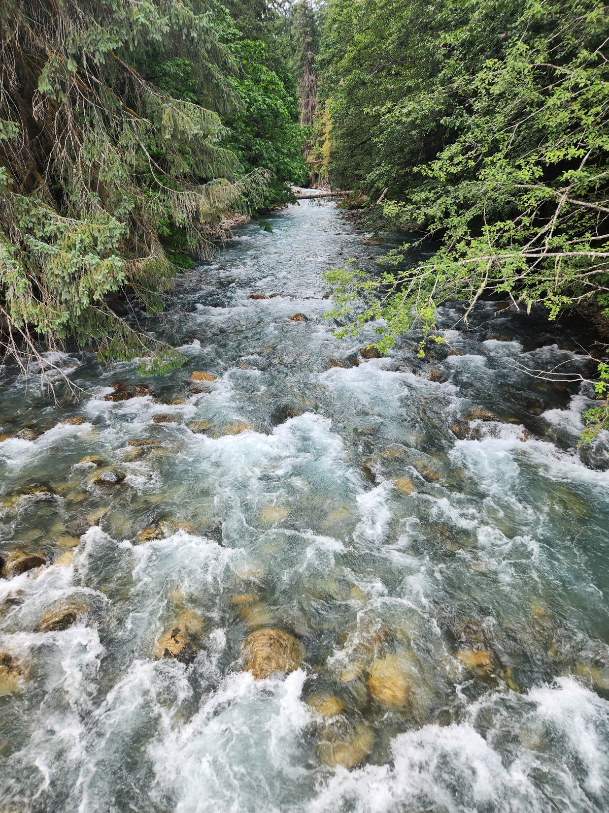 Mountain Stream