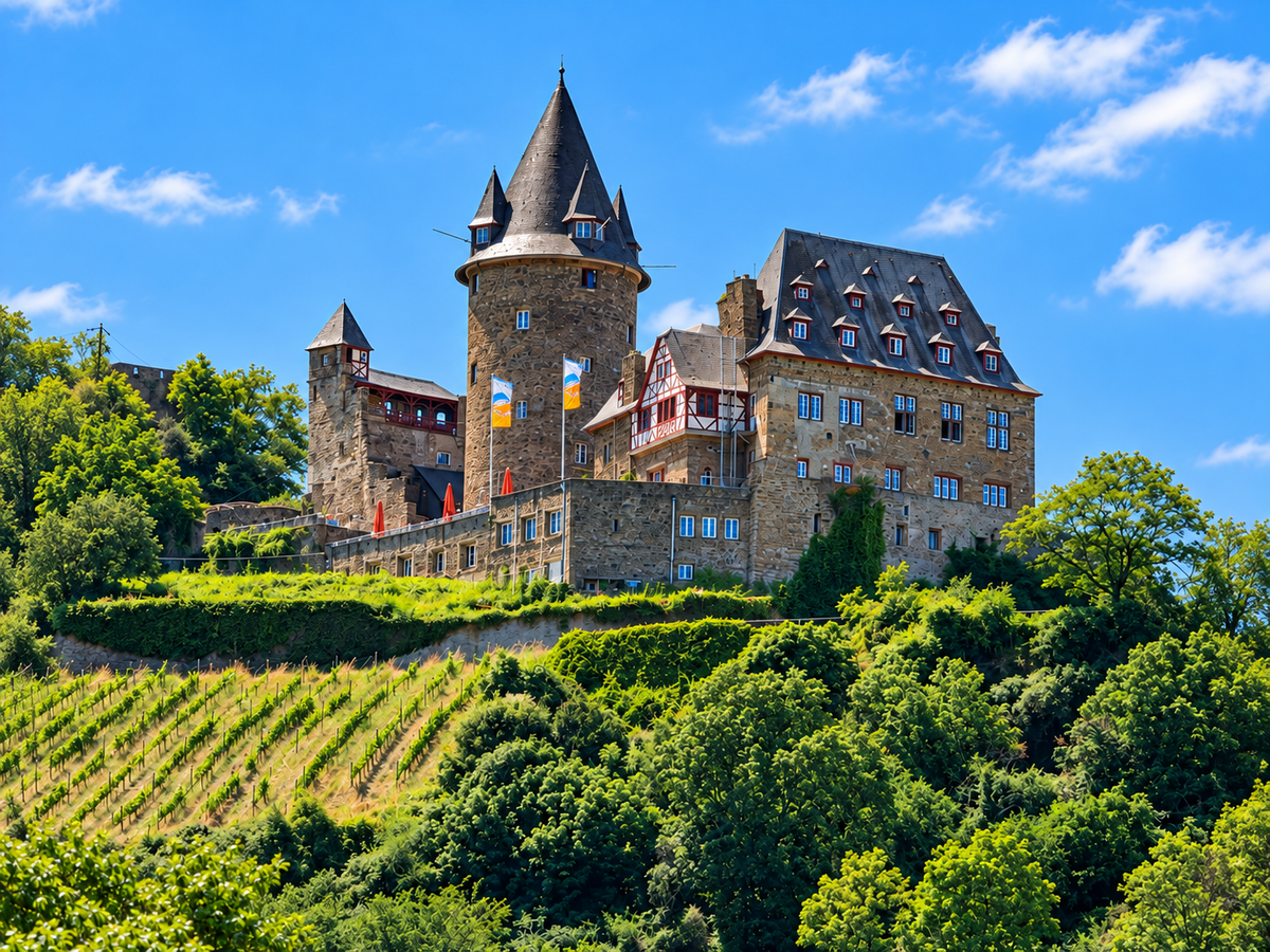 A Castle Above The Rhine